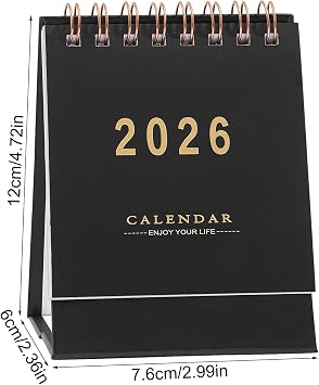 Desk Calendar 2025-2026 Small Paper Daily Date Planning Writing Space Tasks