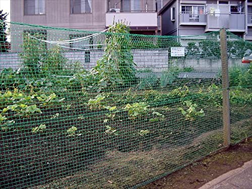 Amazon | ダイオ 動物よけネット 16mm 1.5mx50m 緑 | 防鳥・防獣ネット