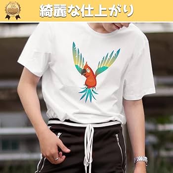 Amazon | TransOurDream 真正の転写シート アイロンプリント