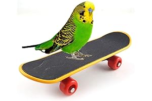 Bird Parrot Intelligence Toys Mini Training Skateboard
