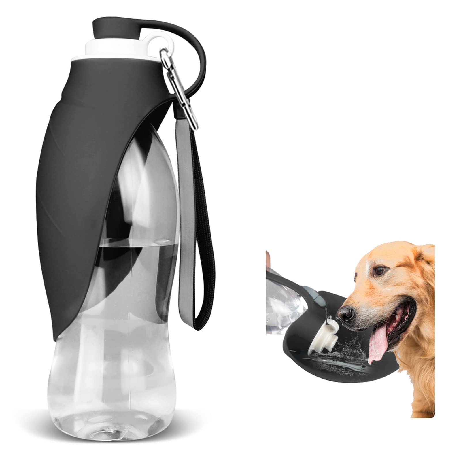 Is My Dog Getting Enough Water