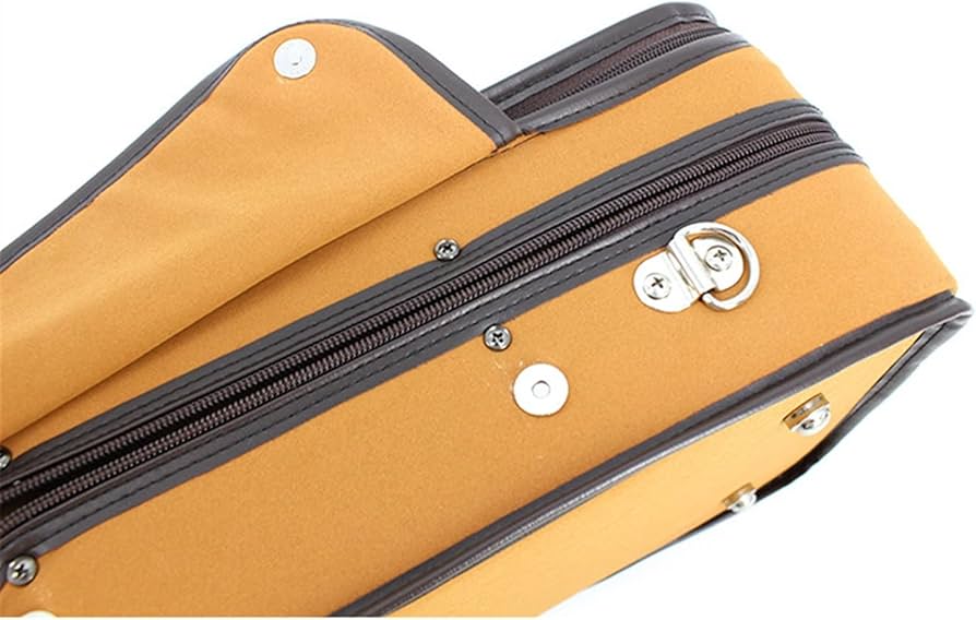 Amazon.co.jp: プロのバイオリンケース バイオリンケース高級 Amazon.co.jp: プロのバイオリンケース バイオリンケース高級