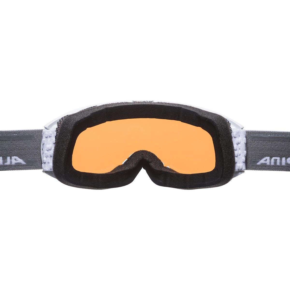 ALPINA Unisex Nakiska Q ALPINA NAKISKA Q Skibrille (1er Pack)