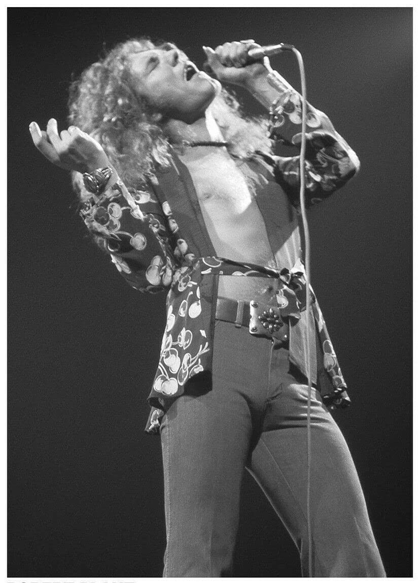 Unbekannt LED Zeppelin Poster Robert Plant Madison Square Garden New York City 1975