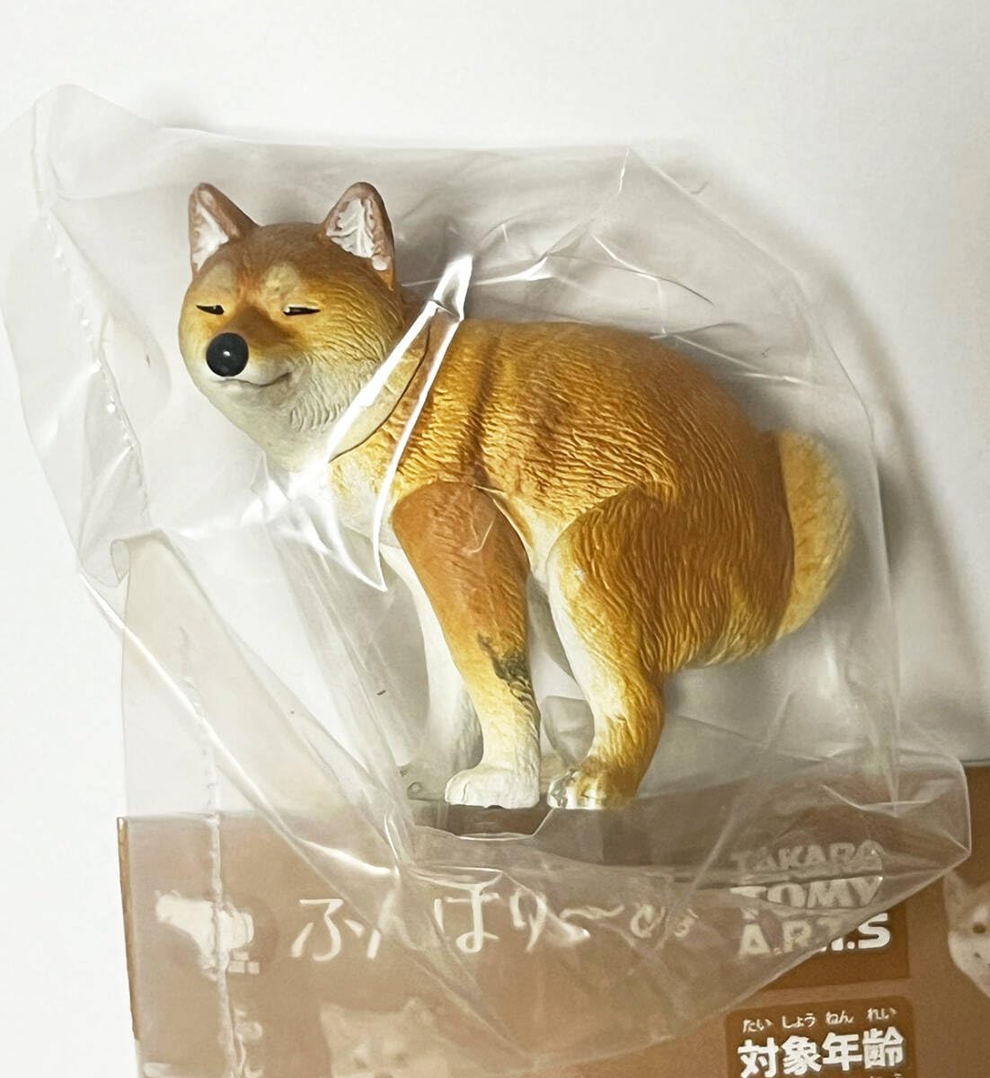 コーギー 柴犬 フィギュア 一式 ガチャポン 景品 楽天市場