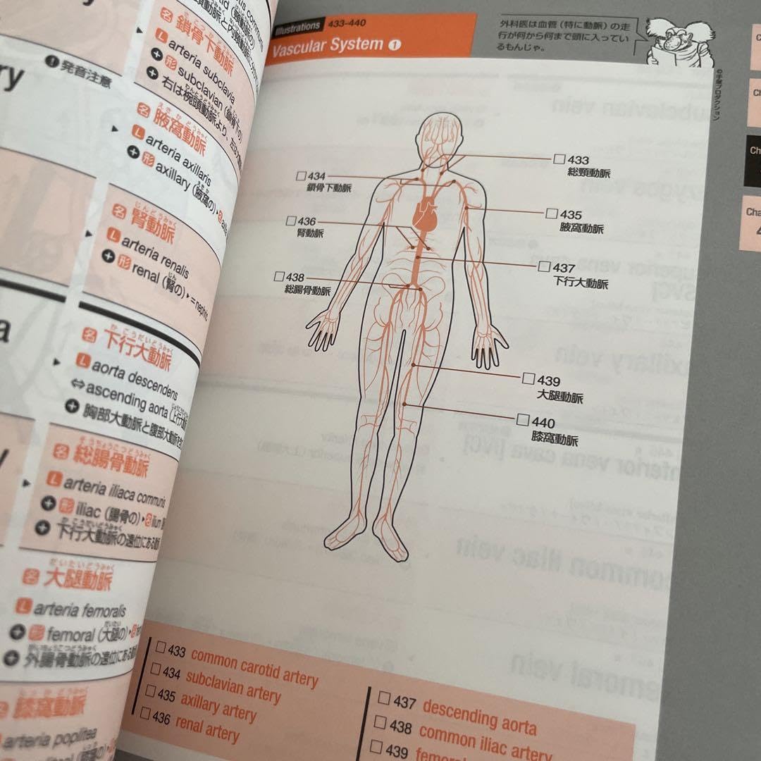 Amazon.co.jp: キクタンメディカル 1 人体の構造編 聞いて覚える医学英