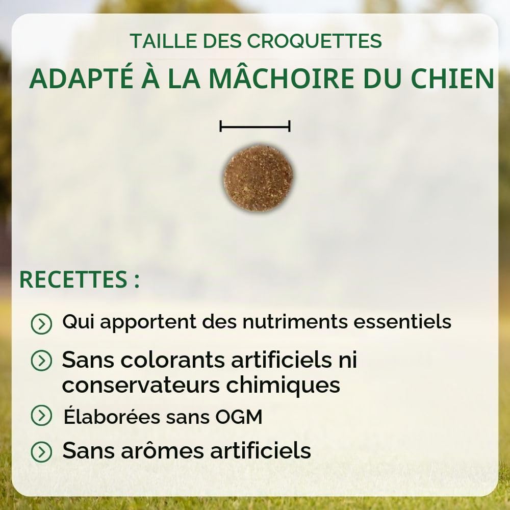 NUTRIVET - Premium Master Silhouette - Croquettes pour Chien Adulte stérilisés ou en surpoids - Poulet & Riz - 15kg