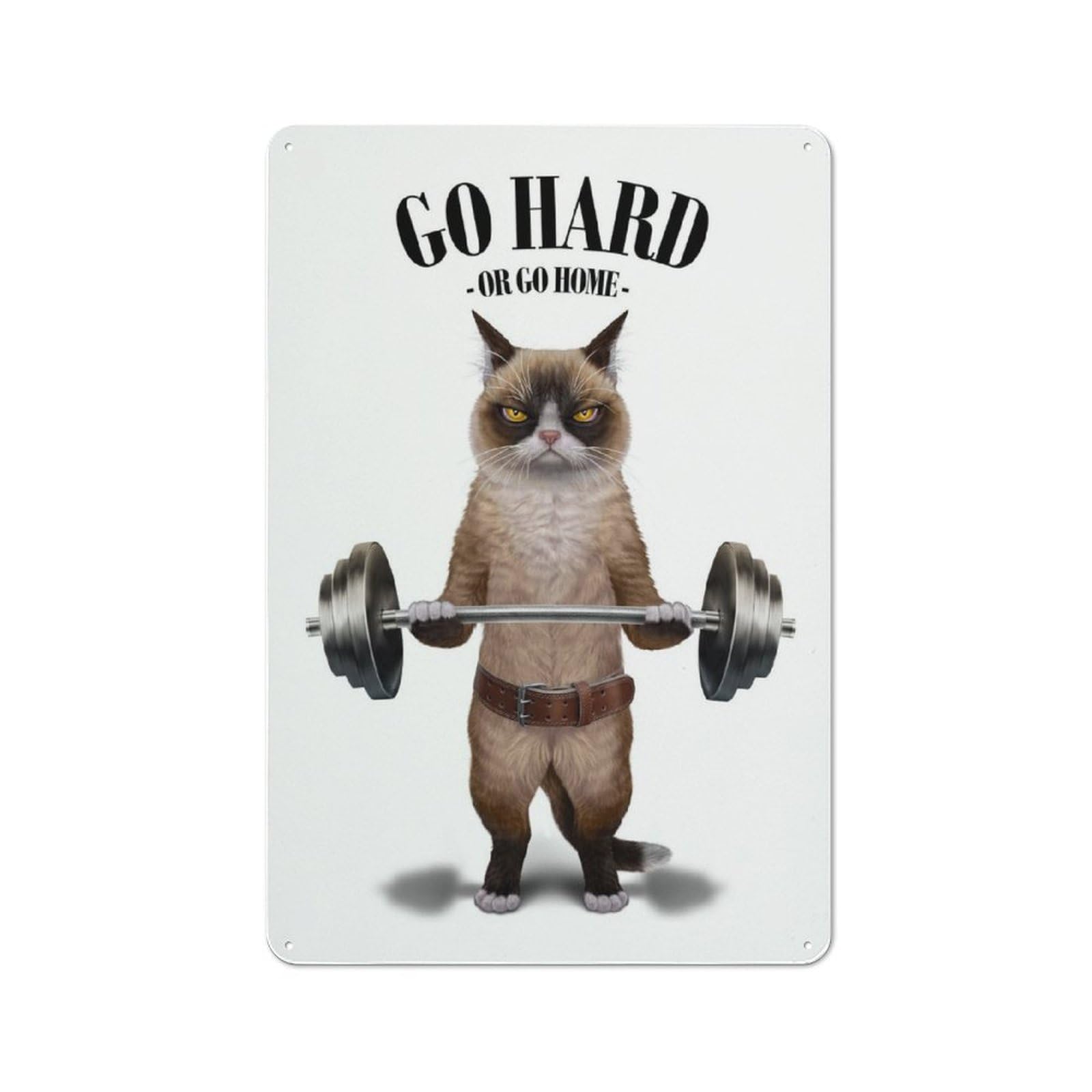 Junmoney Siamese Cat Weightlifting Vintage Tin Sign 30X20cm With For Home Office Or Studio, For Home Office Decor Fans Refreshing A Room In Autumn