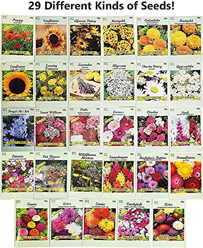 25-Slightly-Assorted-Flower-Seed-Packets-Includes-10-Varieties-May-Include-Forget-Me-Nots-Pinks-Marigolds-Zinnia-Wildflower-Poppy-Snapdragon-and-More-Made-in-the-USA 25-Slightly-Assorted-Flower-Seed-Packets-Includes-10-Varieties-May-Include-Forget-Me-Nots-Pinks-Marigolds-Zinnia-Wildflower-Poppy-Snapdragon-and-More-Made-in-the-USA