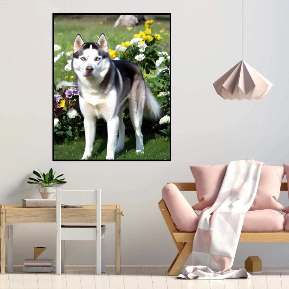 Paint by Numbers for Adults Siberian Husky dogDIY Acrylic Watercolor Oil Painting by Number On Canvas Paint for Home Wall Decor 16x20inch(40x50cm) Frameless