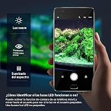 Ver la foto 4