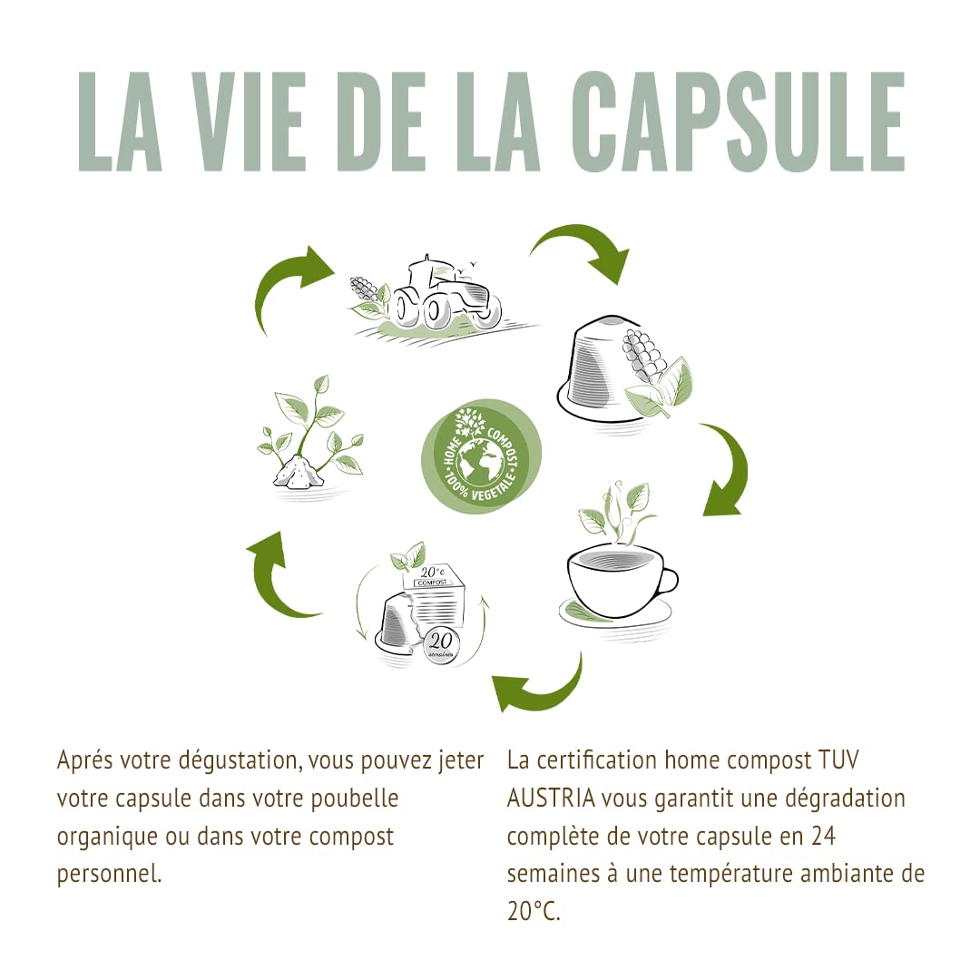 MOKA - 100 Capsules Café Bio d’excellence 100% Pur Arabica d'Ethiopie Bio (10*10) - Délicat et Fruité - Compatibles avec Nespresso - Intensité 8 - Home Compost - Expresso et Lungo - Torréfié en France