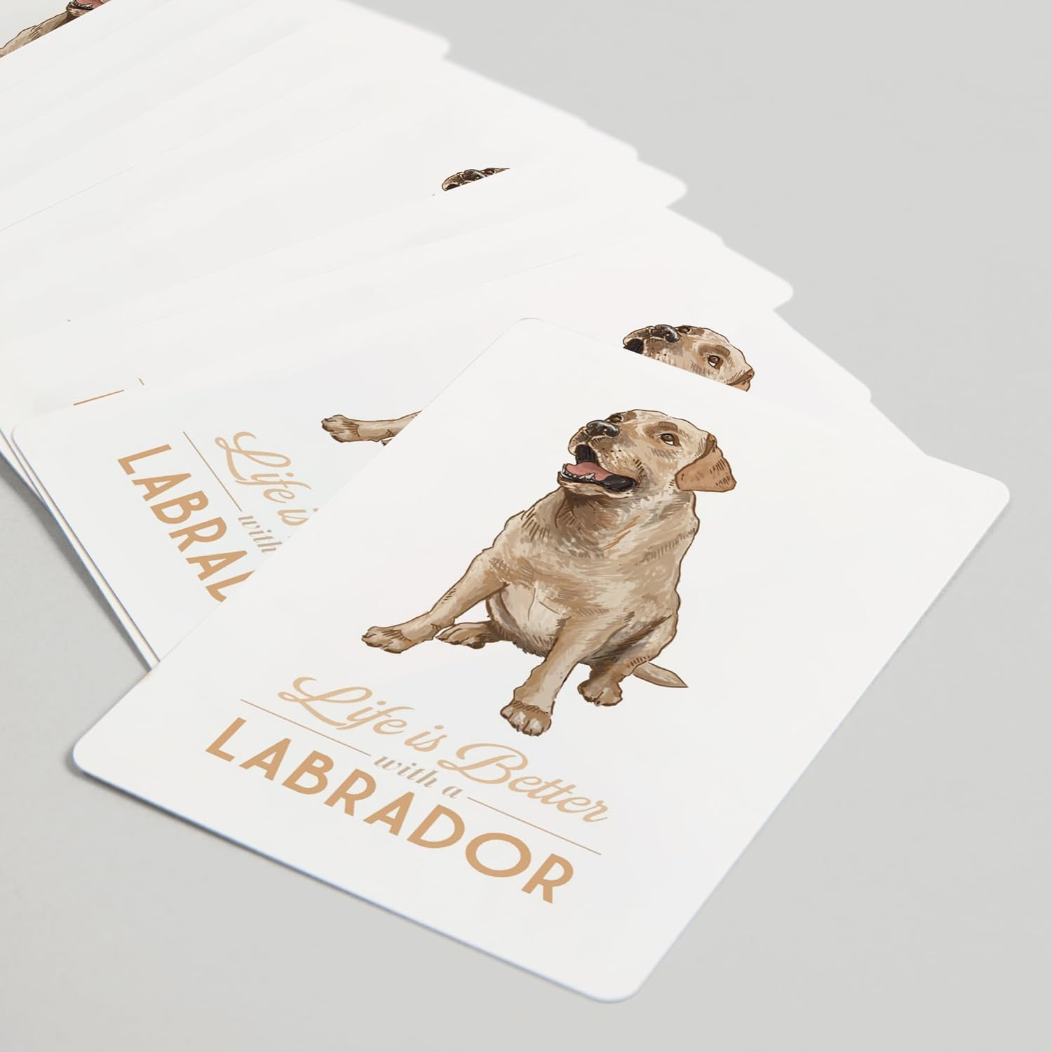 Lantern Press Yellow Labrador Retriever, Life is Better, 52 Playing Cards for Adults, Poker Size Card Deck