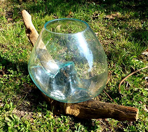 Vase ou Aquarium en Verre soufllé sur Racine de Bois, Hauteur Environ 20cm, Chaque modèle est Unique. Envoi aléatoire Vendeur Francais. Livraison en Point...