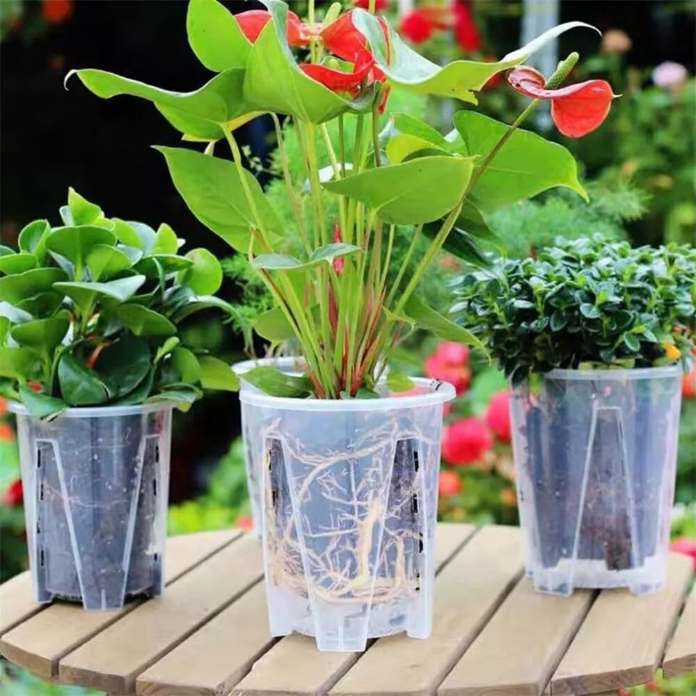 Przezroczyste doniczki z tworzywa sztucznego, 5 przezroczystych doniczek na storczyki dla Phalaenopsis, Dendrobium z kontrolą korzeni, otworami drenażowymi, podstawkami