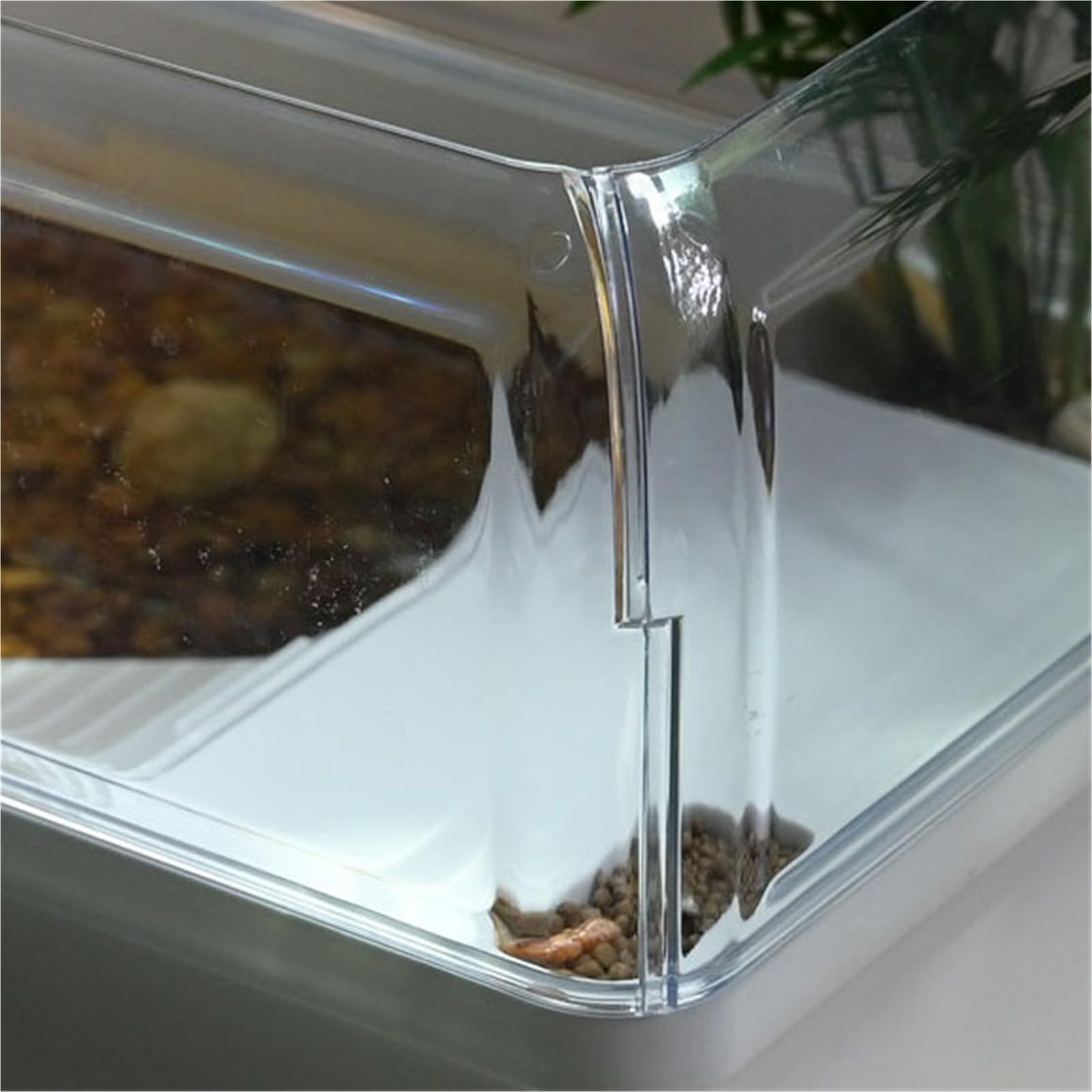 Siedlisko terrarium Hodowla żółwi brazylijskich w domu za pomocą platformy do suszenia na słońcu i zbiornika dla Terrarium akwariowe(Bare box)