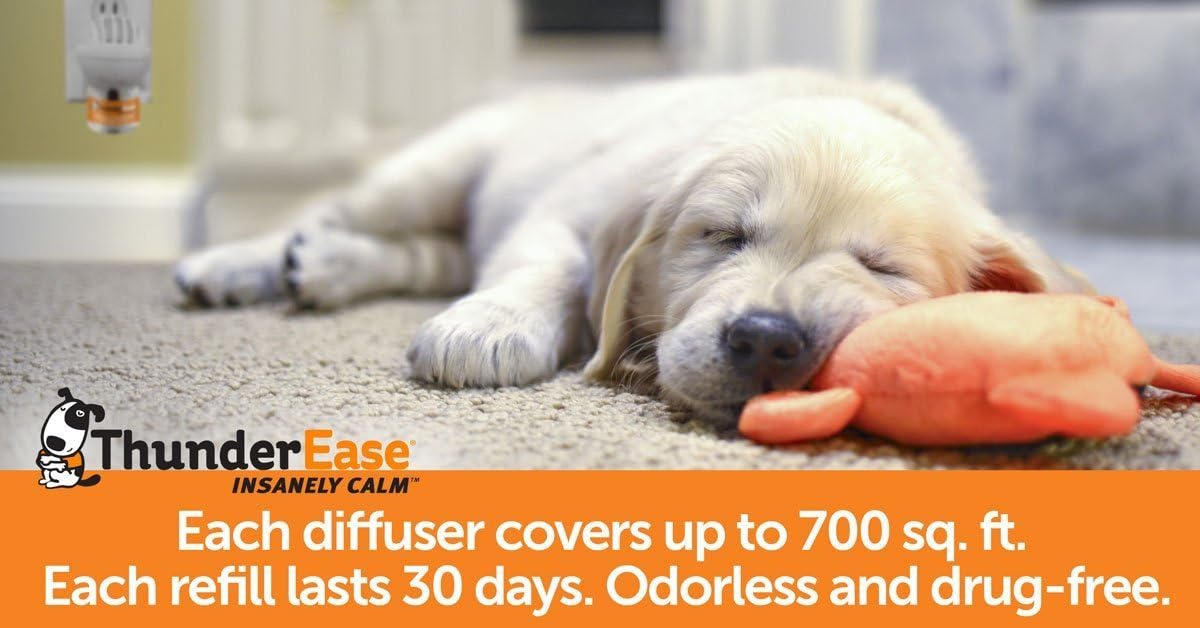 ThunderShirt Classic Dog Anxiety Jacket and ThunderEase Calming Diffuser Kit Bundle, Small