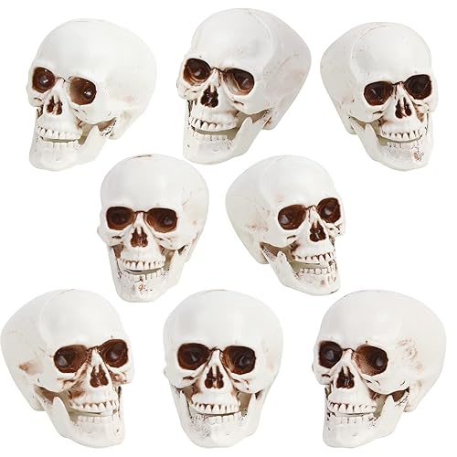 CCINEE 8pcs Halloween Skull Decoration Realistic Looking Skulls Mini Human
