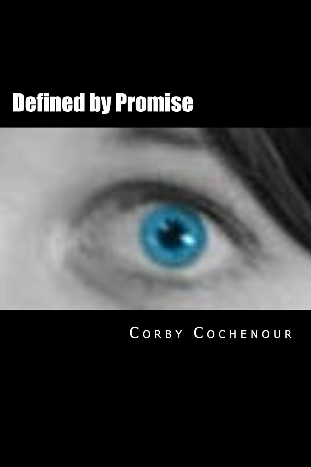 Defined by Promise      Kindle Edition