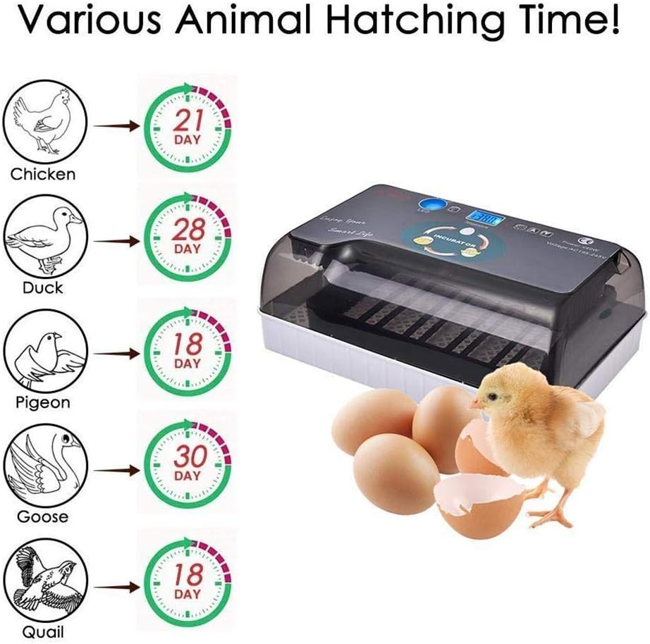 12 Eggs Incubator Digital Poultry Hatcher Automatic Turning Brooder Built-in LED Egg Light for Chicken Duck Goose Bird Home Use