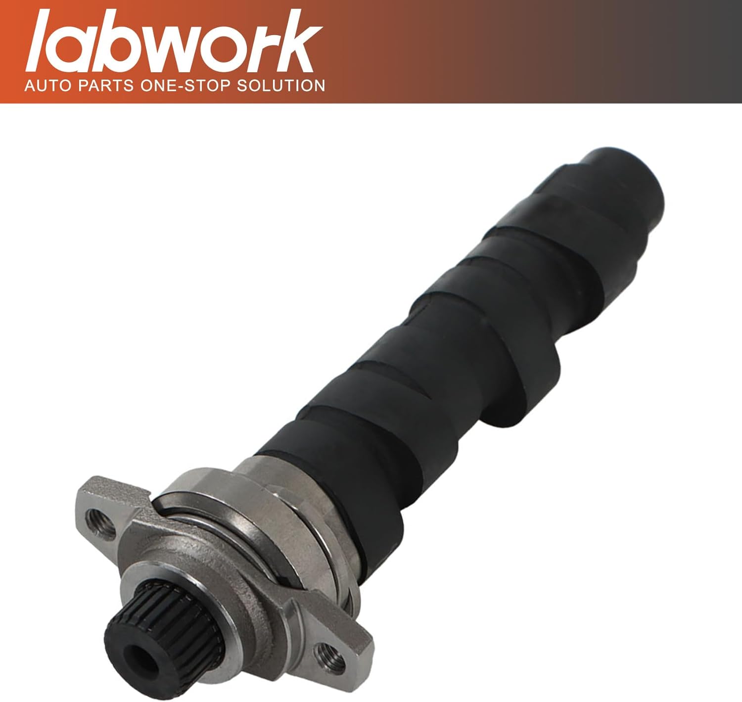 labwork Camshaft Shaft Cam Replacement for Honda Sportrax 400 TRX400EX 400X 1999-2014
