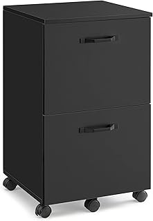 VASAGLE 2-Drawer Filing Cabinet, Mobile File Cabinet for Home Office, Small Rolling Filing Cabinet, Printer Stand, for A4, Letter-Size Files, Hanging File Folders, Matte Black OFC040B16
