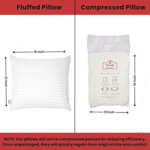 Miniatura 4 de Trendy Home - Cojín cuadrado de 16 x 16 pulgadas, hipoalergénico, decorativo para el hogar, exterior, sofá, cama, relleno de almohada cuadrada