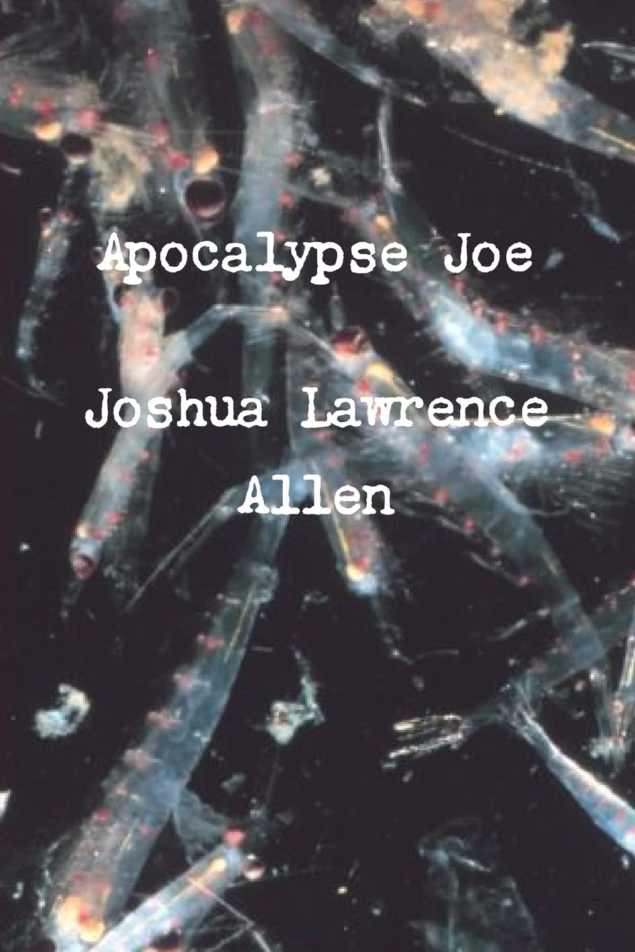 Apocalypse Joe
