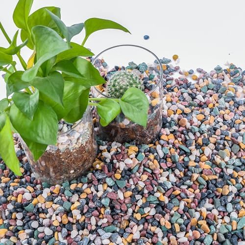 CJGQ 7lb Aquarium Gravel for Plants, 1/5Inch River Rocks Pebbles for Succulents and