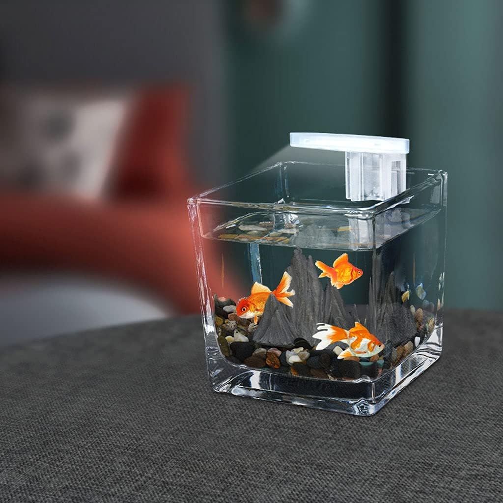 Liudan Aquarium Desktop Square Small Fish Tank Guest Tank Office Small Furniture Tea Cup Glass Gardening Fight Easy Fish Tank Fish Tank (Size : A)