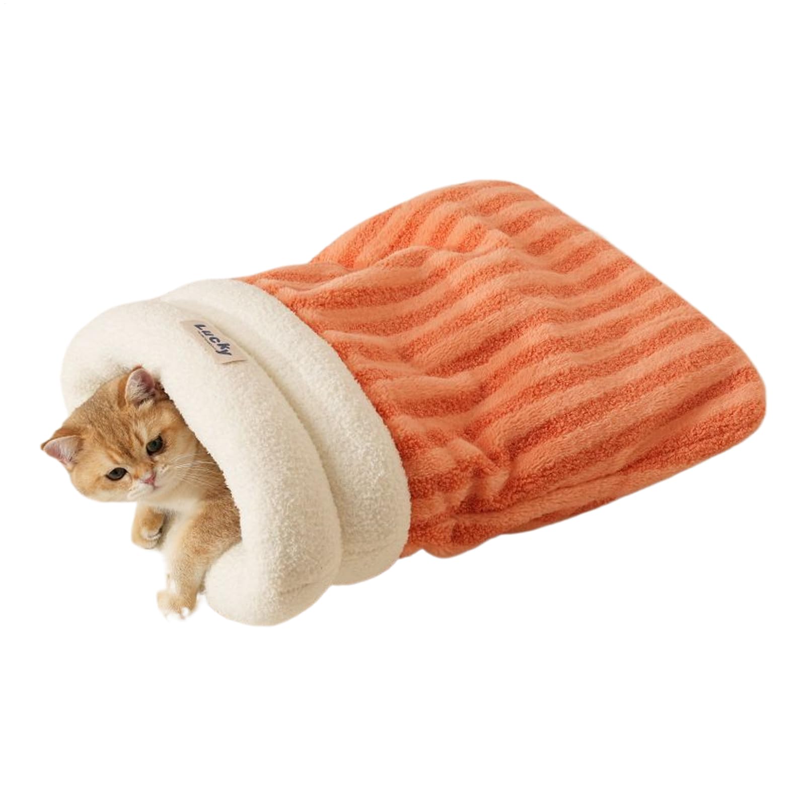 Sac de couchage pour chien fini le froid au sol avec ce lit de voyage chaud