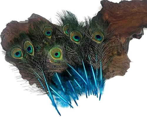 Miniatura 5 de 50 piezas - Mini cuerpo de cola de pavo real natural azul turquesa con ojos al por mayor plumas (a granel) Proveedor de manualidades de disfraces de