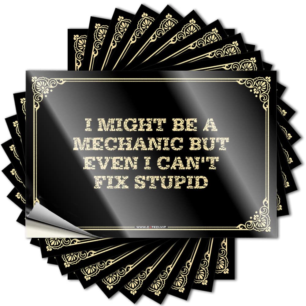 Cocoa Decals Case | I Might Be A Mechanic But Even I Can't Fix Stupid Love Men Sticker Pack(12X18CM)