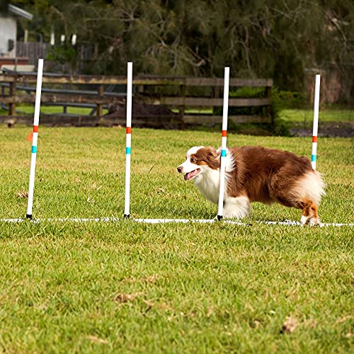 Midlee Dog Agility Beginner Set- Hoop Jump, Weave Poles, and Bar Jump