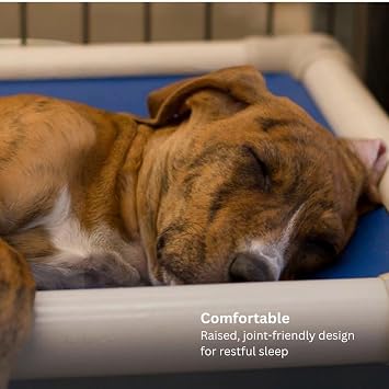 Kuranda Chewproof Elevated Pet Bed - Almond PVC - 25 x 18 - Cordura Nylon - Burgundy