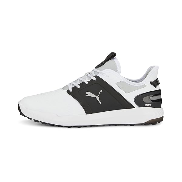 PUMA Men's Golf Shoe