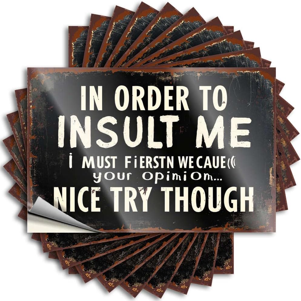 Reading Stickers, Bar Cart Decor Hat in Order to Insult Me, You Must First Reveal Your Opinion | Funny Quote Cars Decals(6X9CM)
