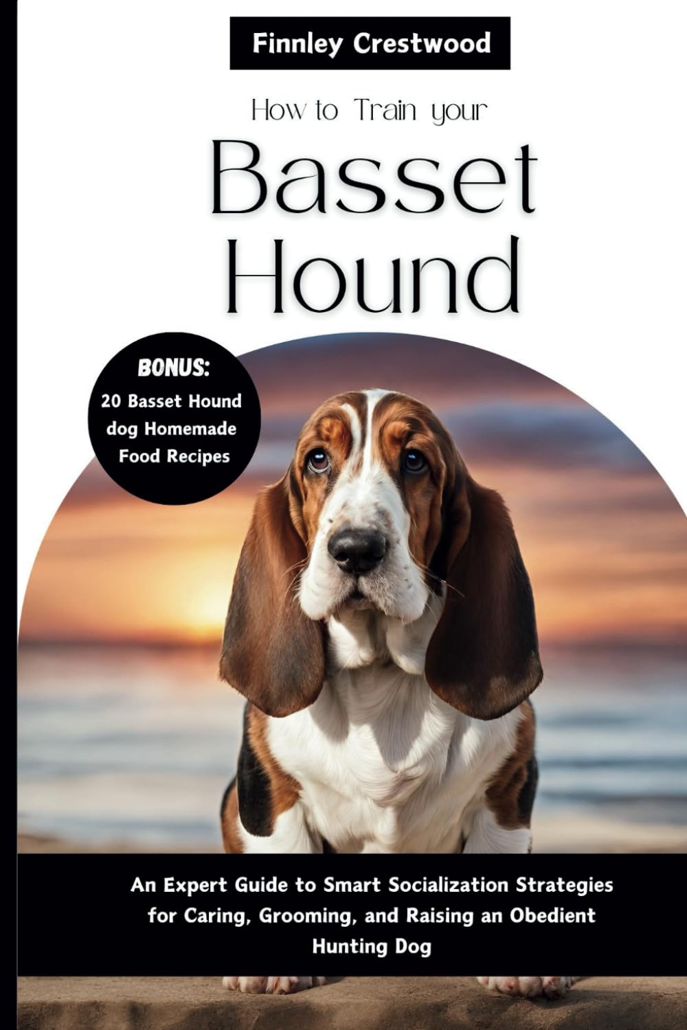 How To Train Your Basset Hound An Expert Guide To Desertcart