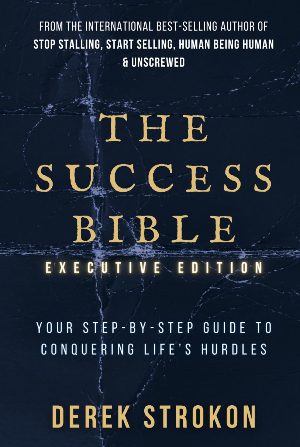 The Success Bible: Your step-by-step guide to conquering life’s obstacles
