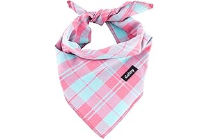 Oversized Vibrant Spring Dog Bandana for Large Breeds (XL)