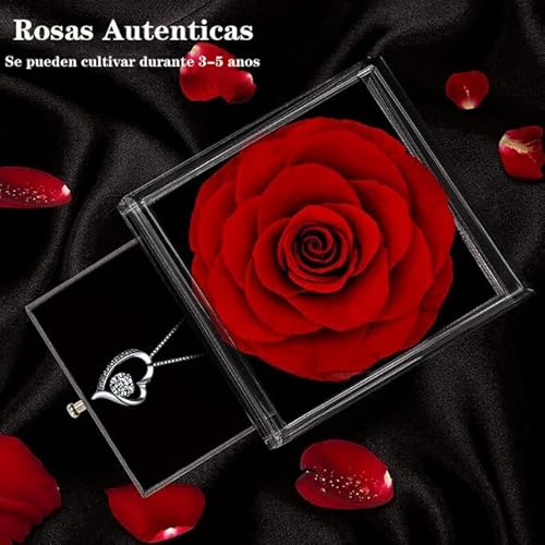 Miniatura 4 de Rosa Eterna,Flores Preservada ,Rosa Real Forever Bloom,Natural Regalo Rosas Romántico Con Mujer Día Madre San Valentín Navidad Compromiso Matrimonio Aniversario Cumpleaños Acción De Gracias Nochebuena