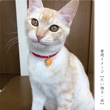 猫ココ necoco｜ネココ：キャットタワー / サークル | Petio[ペティオ]