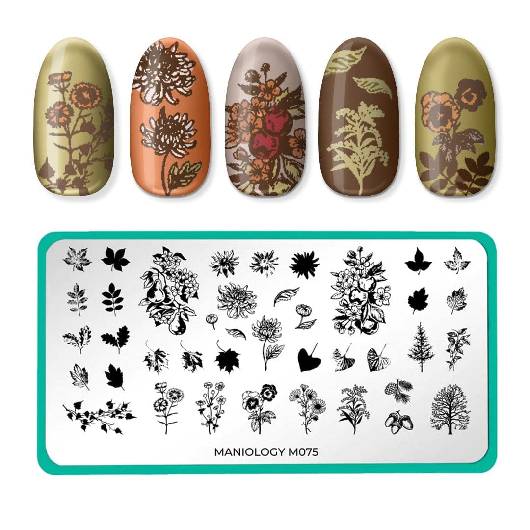 Maniology Autumn Nail Stamping Plate (Harvest Blooms)