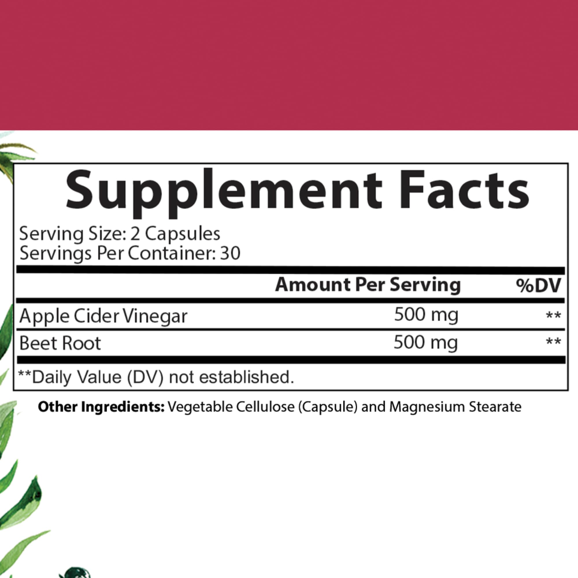 Angry Supplements Vegan Apple Cider Vinegar + Beet Root Veggie Capsules for Men and Women– 500mg Apple Cider Vinegar & 500mg Beet Root per Serving (2-pack/120ct) — Amazon image 2