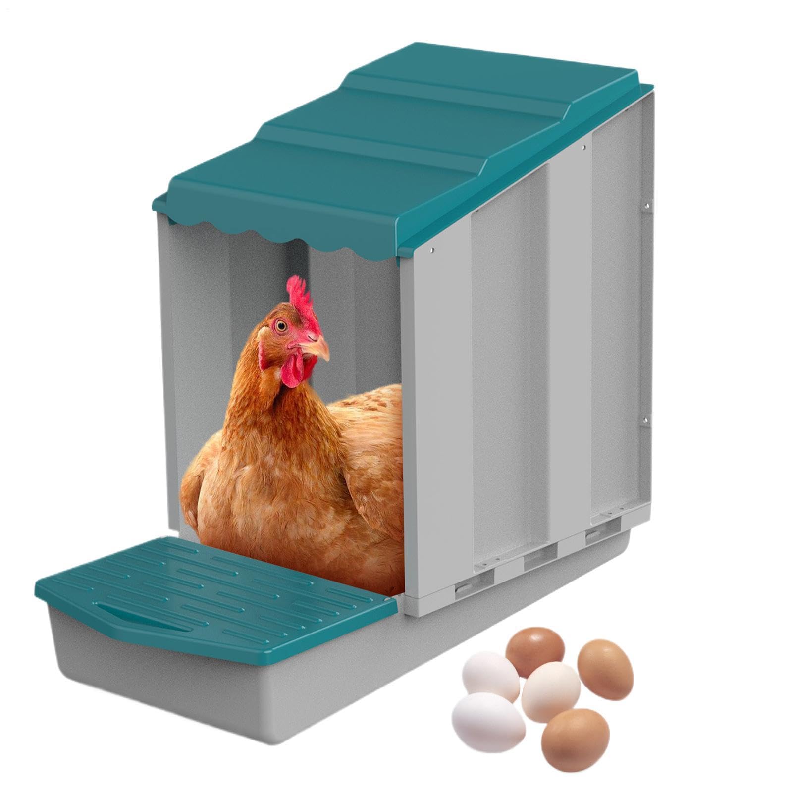 para Gallinas Nidal Para Aves | con Huevo Rodante para Gallinas Ponedoras para Granjeros, Amantes de Animales, Corrales de Jardín, Gallineros Móviles,
