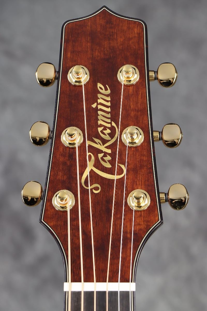 タカミネ / LTD2025 AEG Antique Evergreen 日本製 [S/N タカミネ / LTD2025 AEG Antique Evergreen 日本製 [S/N