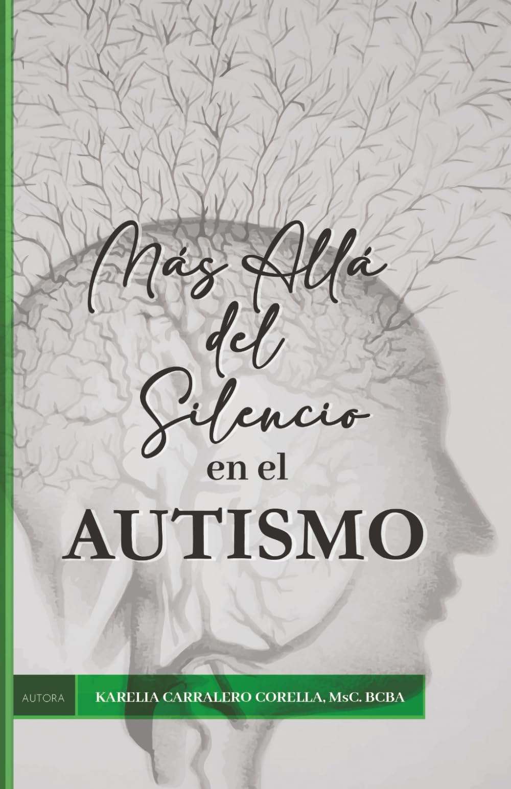 Más Allá del Silencio en el Autismo