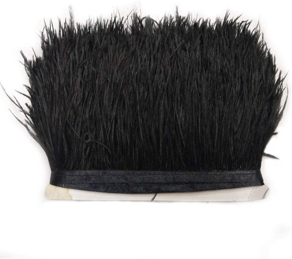 Blausky Straußenfeder Band 3m - 8-10cm Breite Federfransen DIY