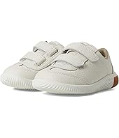 Star White/Star White