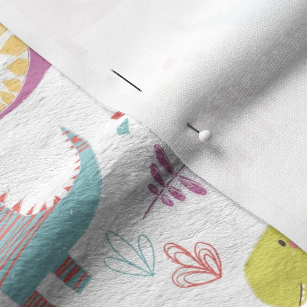 Spoonflower Fabric - Princess Girl Animals Kids Dinosaurs Tyrannosaurus Stegosaurus Printed on Minky Fabric by The Yard - Sewing Baby Blankets Quilt Backing Plush